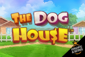The Dog House slot at Playmojo Casino
